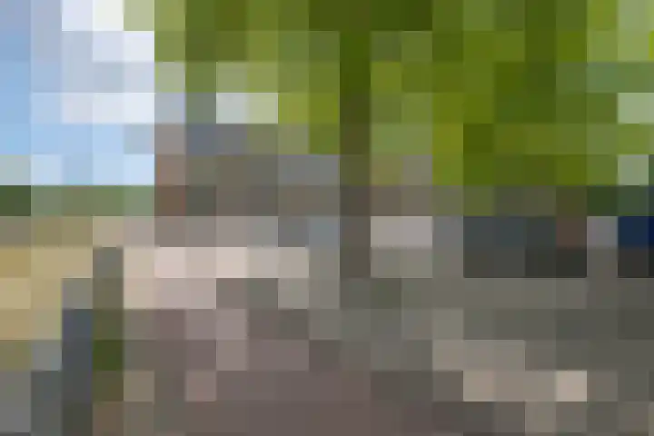 Anthony Tijkenstraat 12 dans Rotterdam