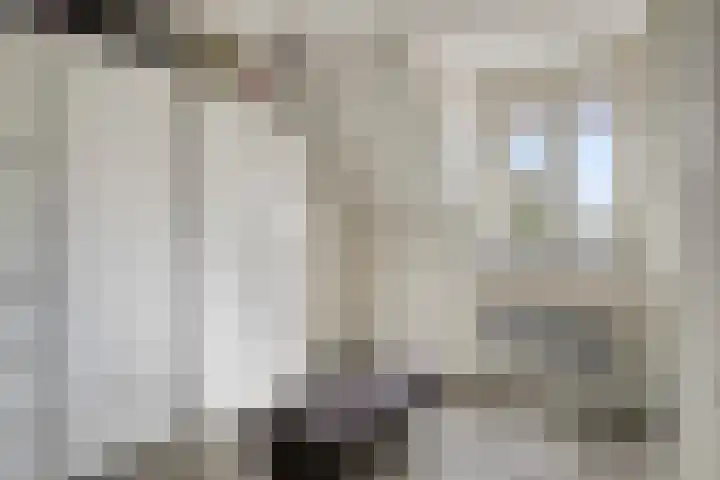 Antibespad 2 Eindhoven thumbnail 16