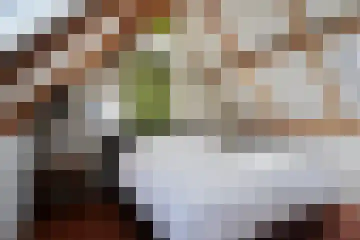 Antibespad 2 Eindhoven thumbnail 20