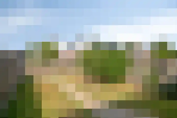 Antibespad 2 Eindhoven thumbnail 24