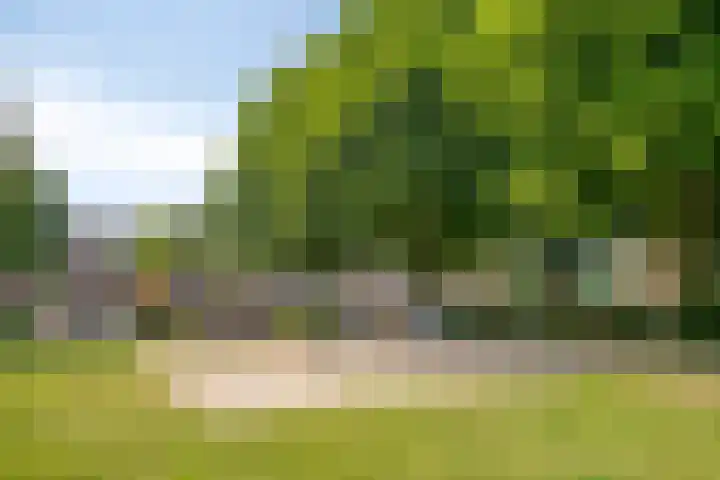 Antibespad 2 Eindhoven thumbnail 28
