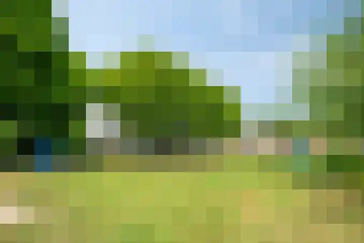 Antibespad 2 Eindhoven thumbnail 29