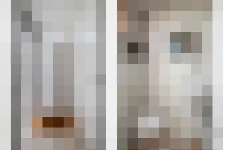 Antibespad 2 Eindhoven thumbnail 4
