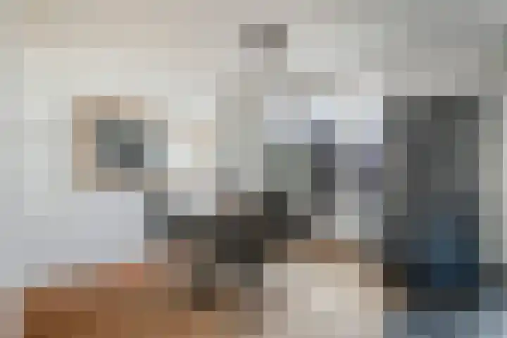 Antibespad 2 Eindhoven thumbnail 8