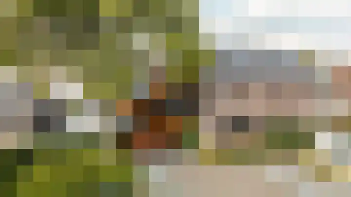 Antiloopstraat 69 Breda thumbnail 102