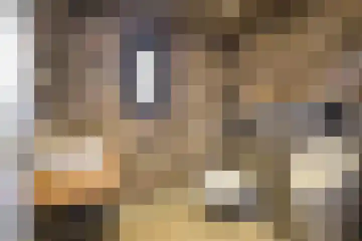 Antiloopstraat 69 Breda thumbnail 11