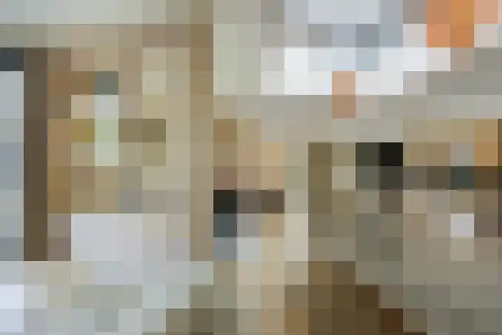 Antiloopstraat 69 Breda thumbnail 34