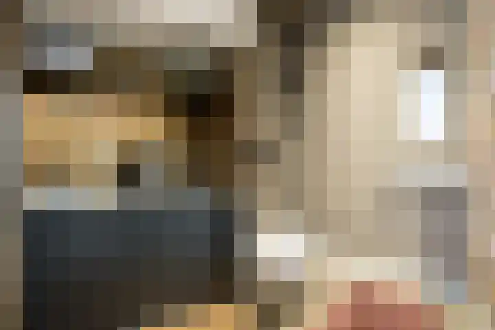 Antiloopstraat 69 Breda thumbnail 41