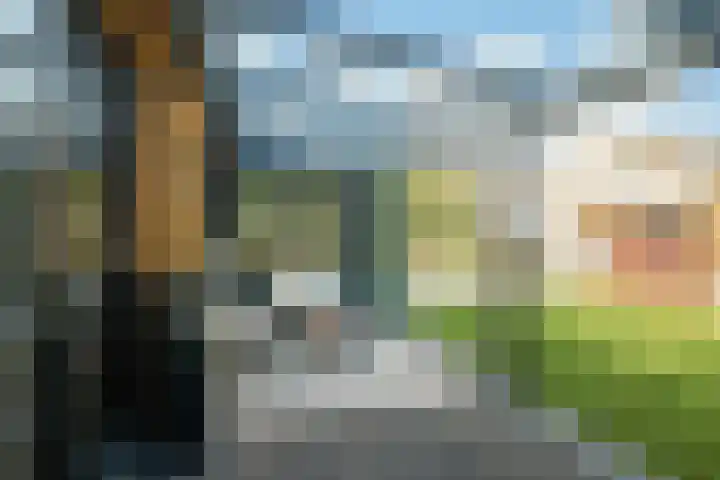 Antiloopstraat 69 Breda thumbnail 45