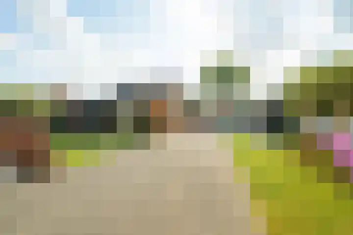 Antiloopstraat 69 Breda thumbnail 5