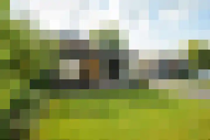 Antiloopstraat 69 Breda thumbnail 50