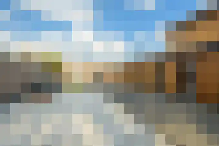 Antiloopstraat 69 Breda thumbnail 56