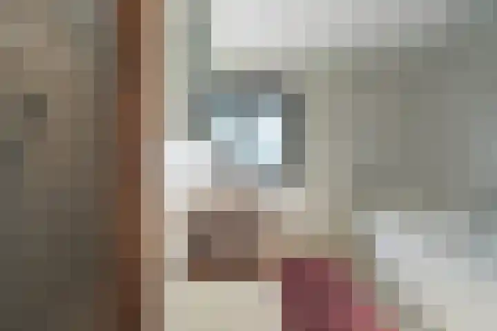 Antiloopstraat 69 Breda thumbnail 66