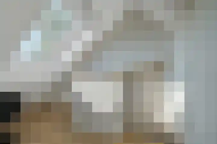 Antiloopstraat 69 Breda thumbnail 69