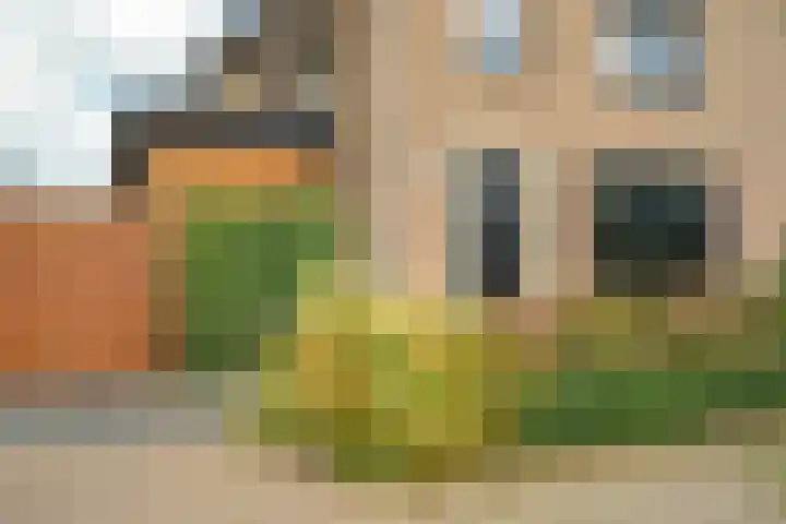 Antiloopstraat 69 Breda thumbnail 8
