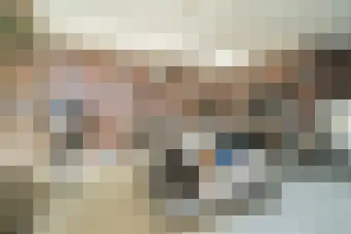 Antiloopstraat 69 Breda thumbnail 86