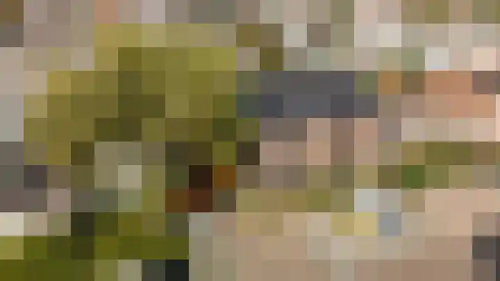 Antiloopstraat 69 Breda thumbnail 91