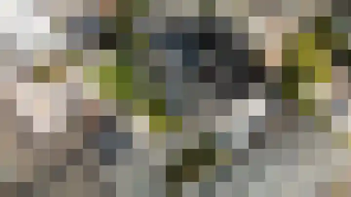 Antiloopstraat 69 Breda thumbnail 94