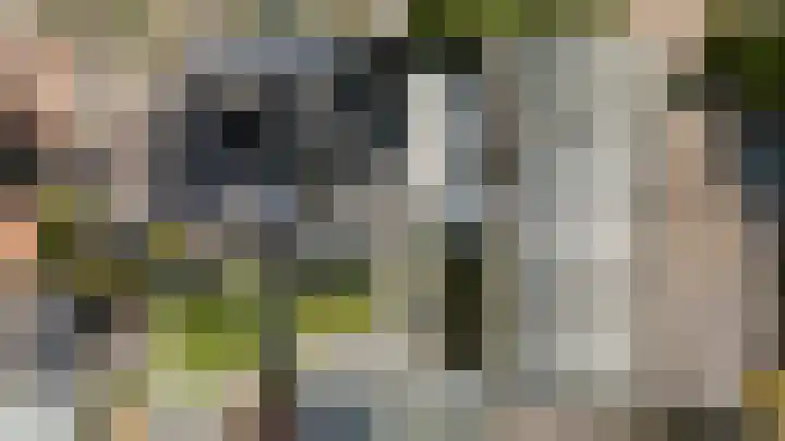 Antiloopstraat 69 Breda thumbnail 97