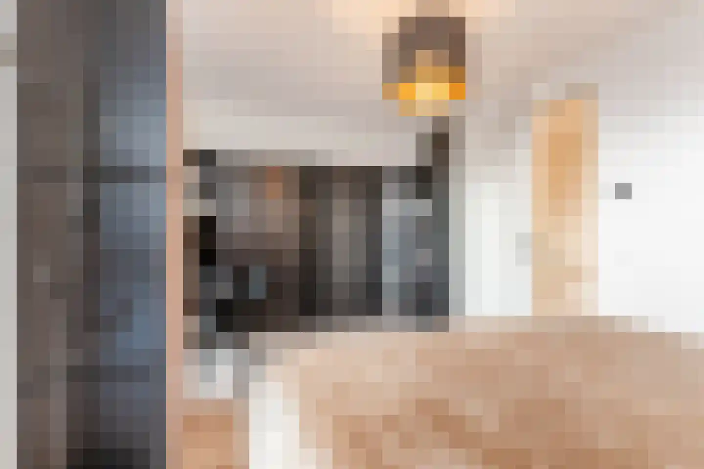 Anton Ebbenhof 12 Tilburg thumbnail 17