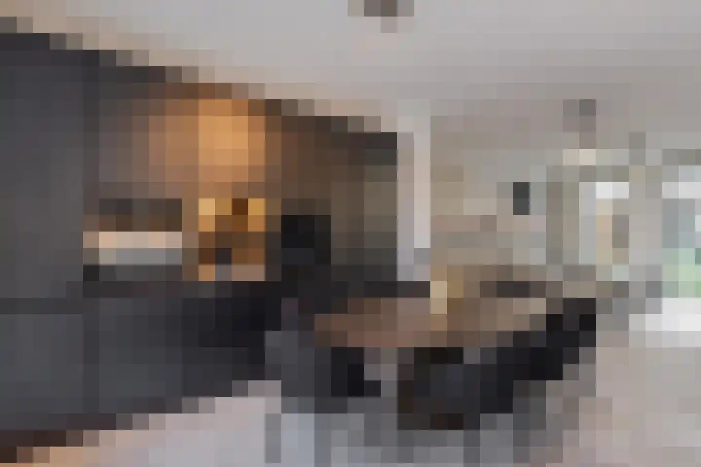 Anton Ebbenhof 12 Tilburg thumbnail 4