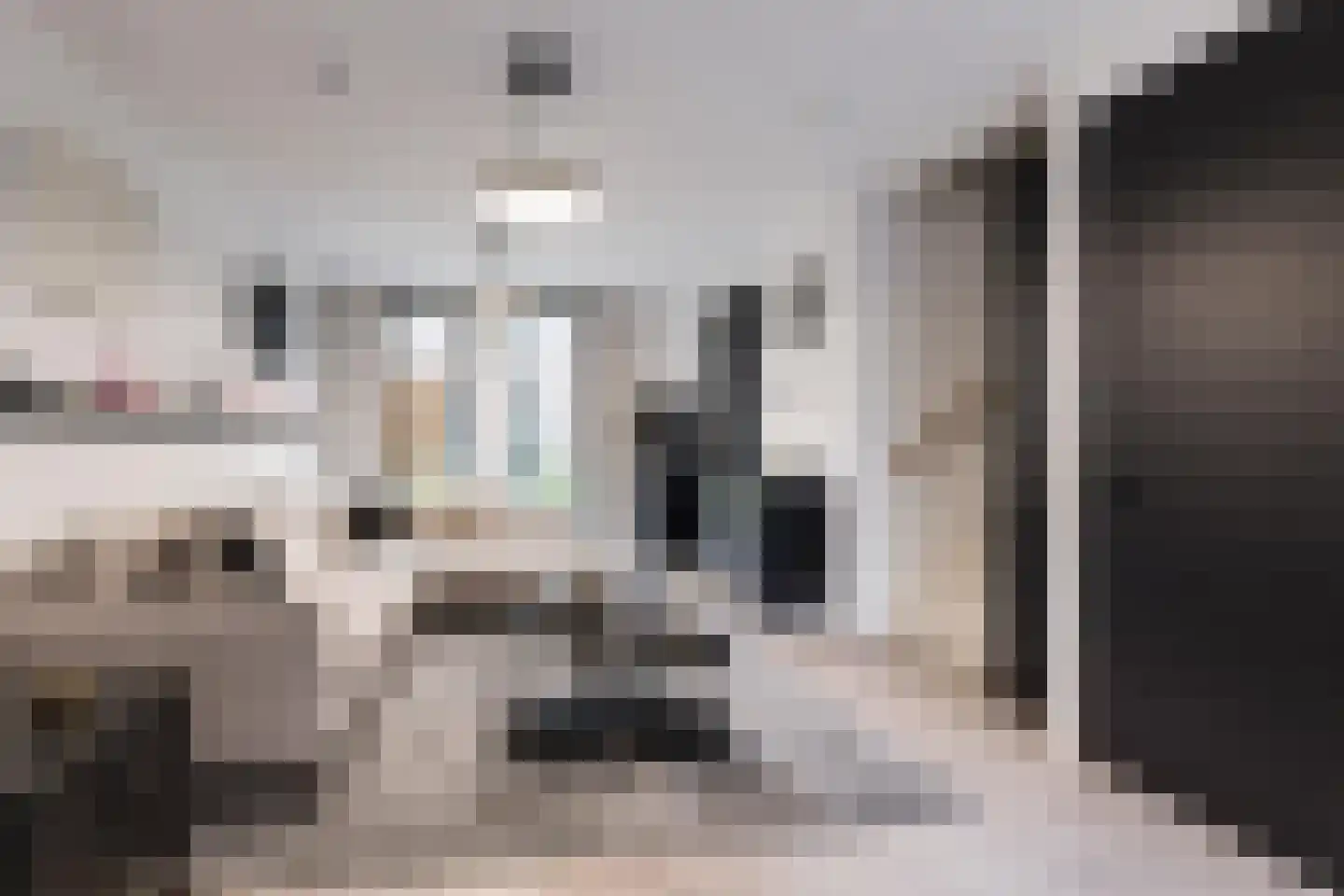 Anton Ebbenhof 12 Tilburg thumbnail 5