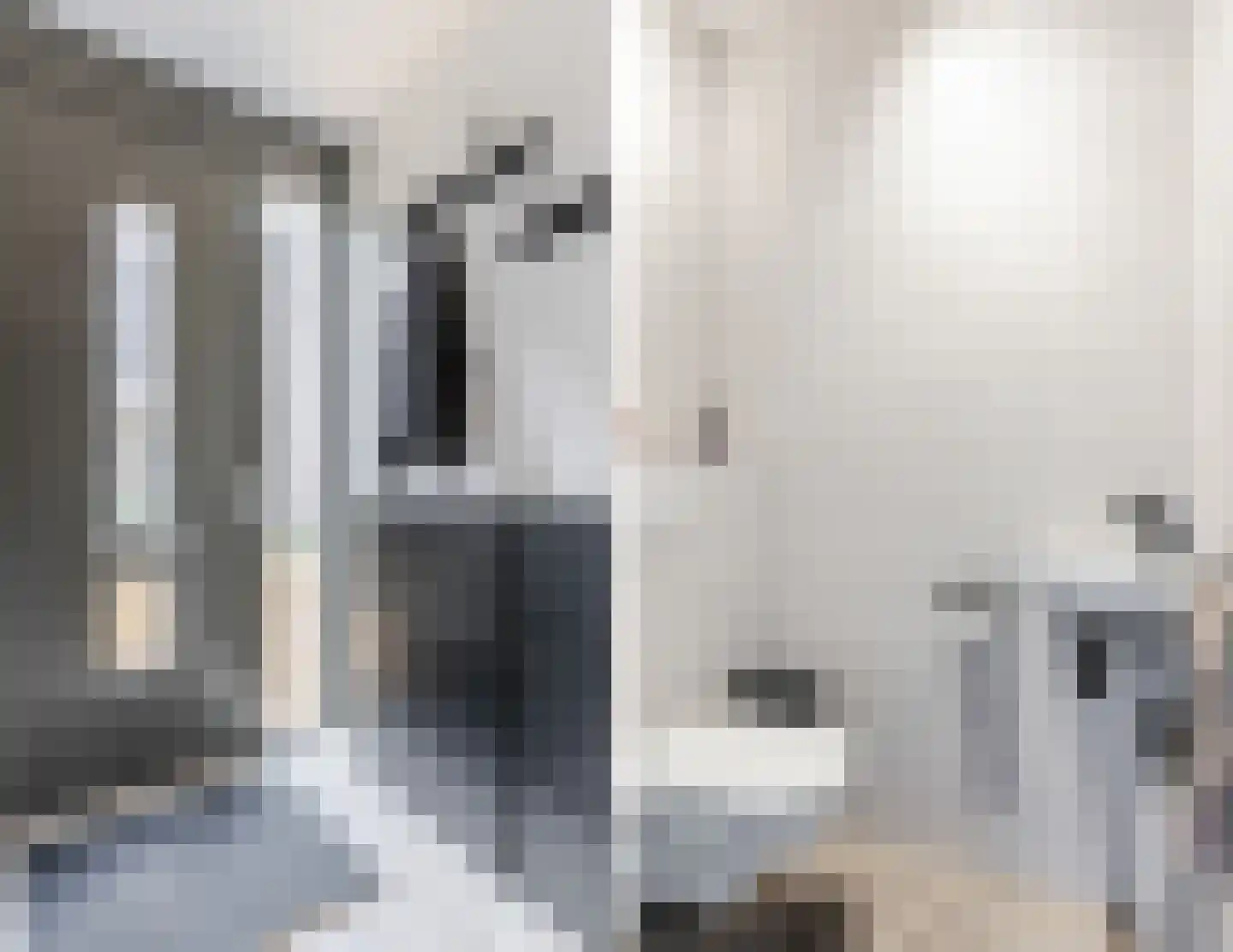 Anton Ebbenhof 12 Tilburg thumbnail 6