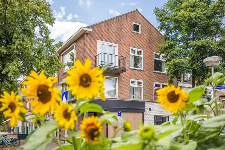 Anton Geesinkstraat 14 in Utrecht foto