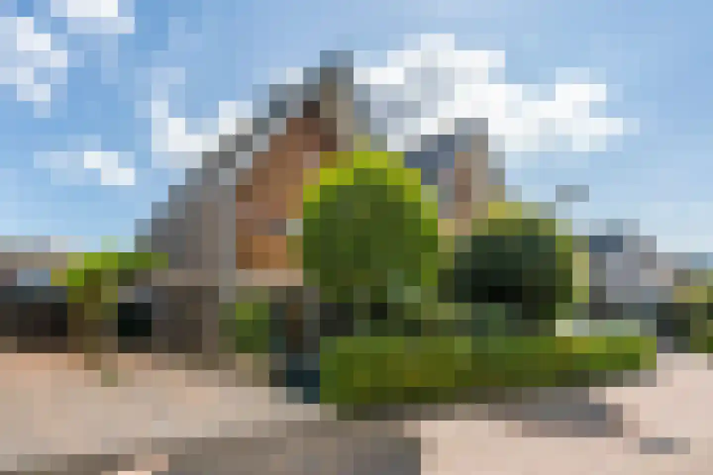 Anton Geesinkstraat 52 in Hoofddorp