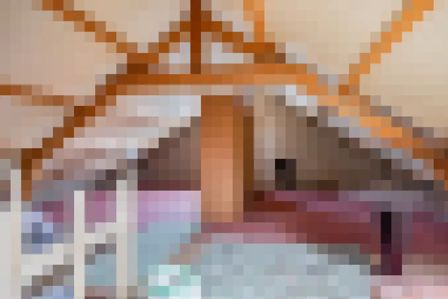 Antoniusplein 18 B Lomm thumbnail 22