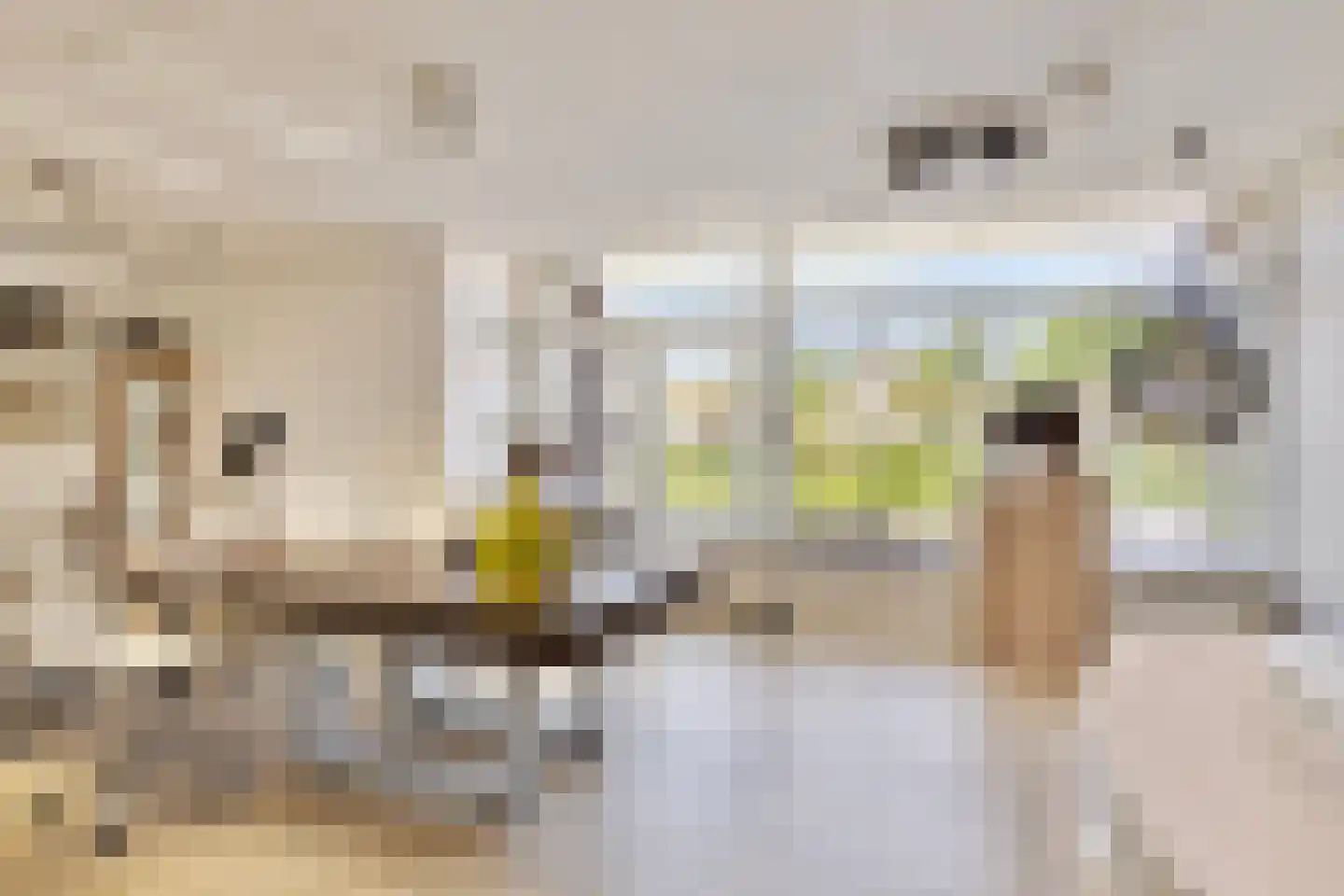 Antoniusplein 18 B Lomm thumbnail 23
