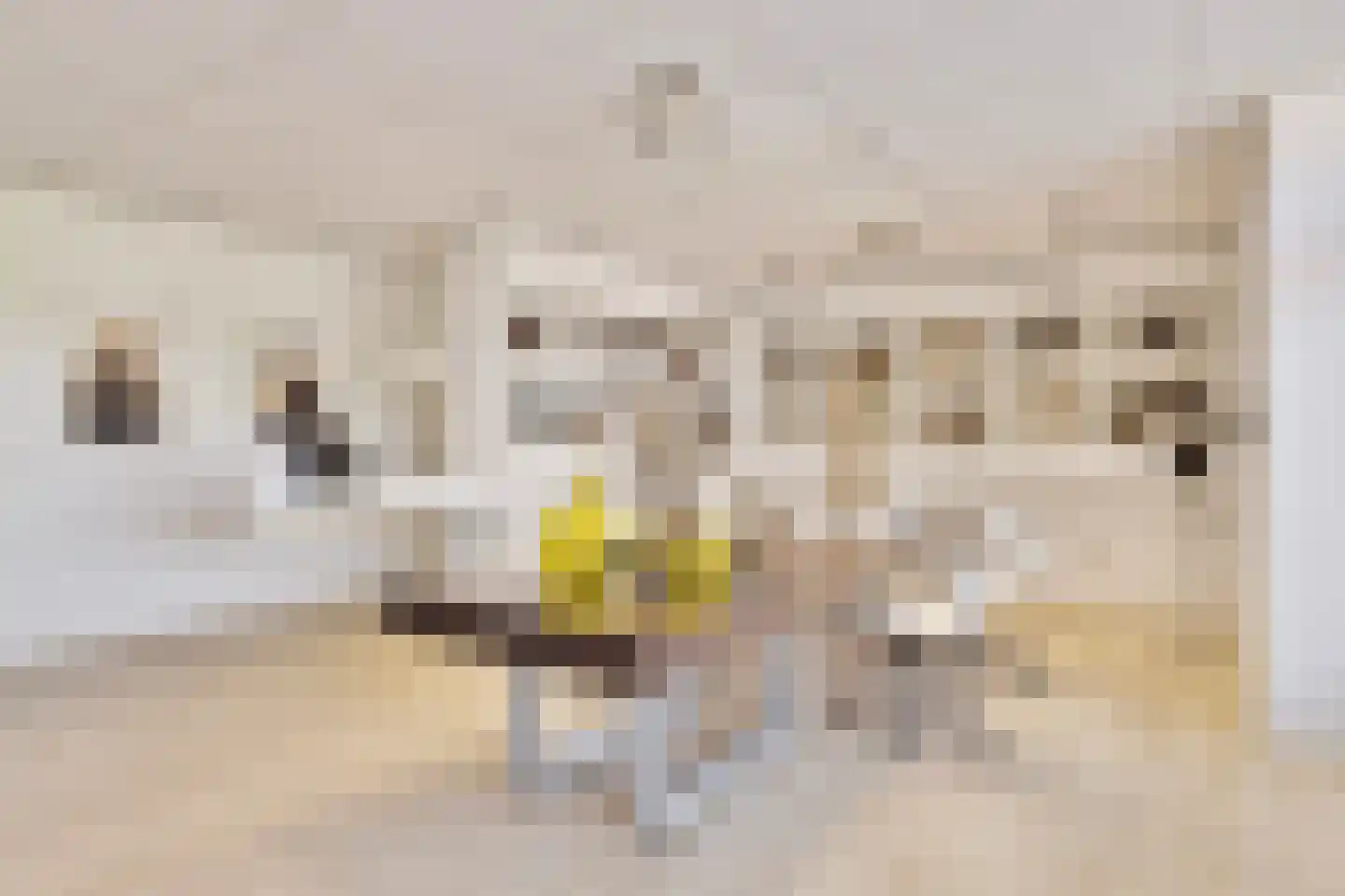 Antoniusplein 18 B Lomm thumbnail 6