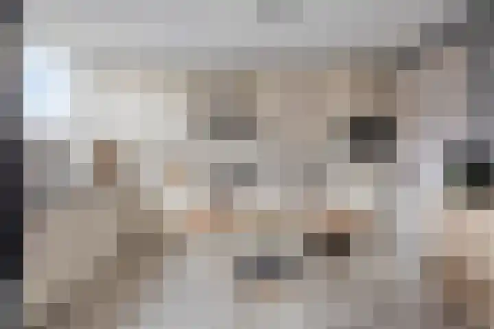 Antoniusstraat 37 Erp thumbnail 11