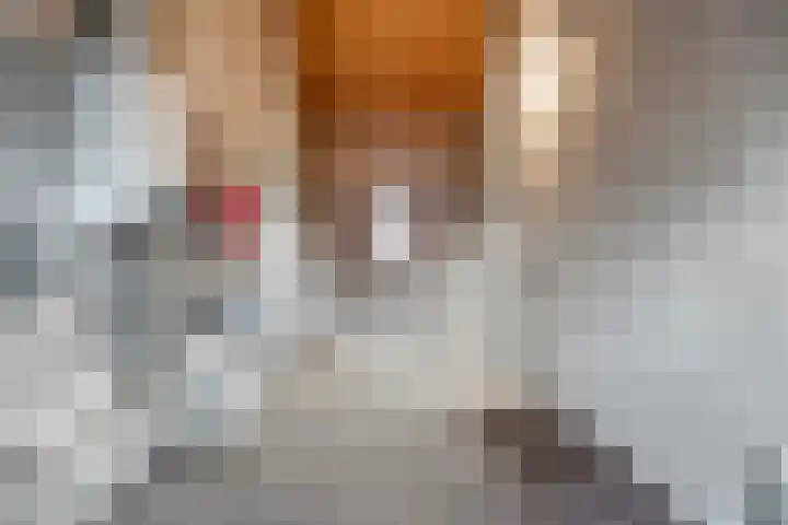 Antoniusstraat 37 Erp thumbnail 32