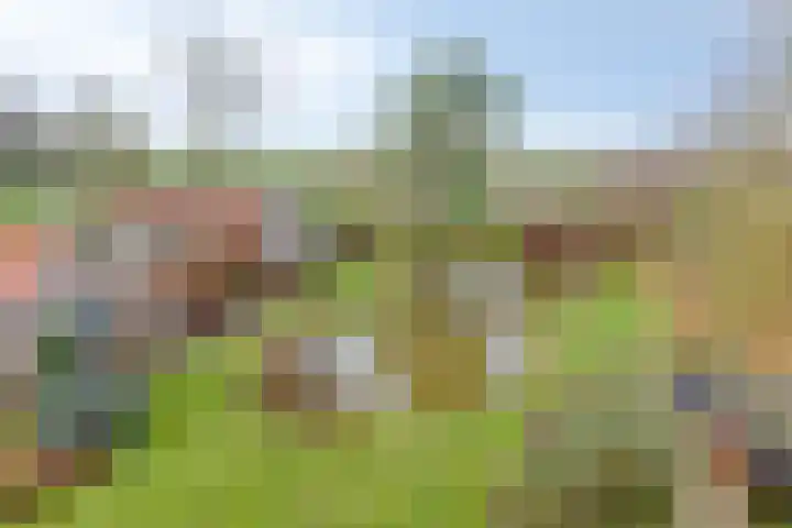 Antoniusstraat 37 Erp thumbnail 46