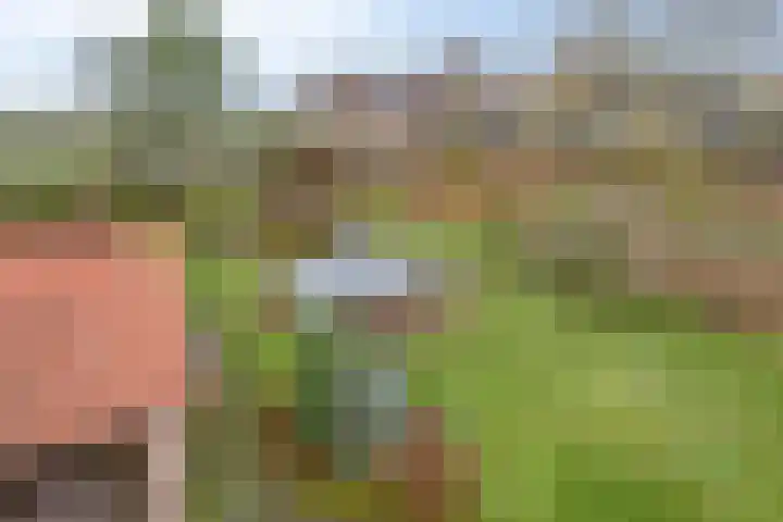 Antoniusstraat 37 Erp thumbnail 47