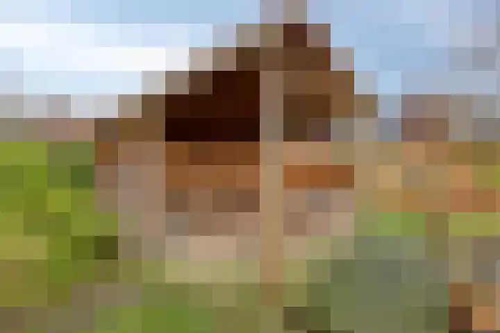 Antoniusstraat 37 Erp thumbnail 48