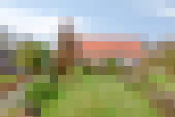 Antoniusstraat 37 Erp thumbnail 49