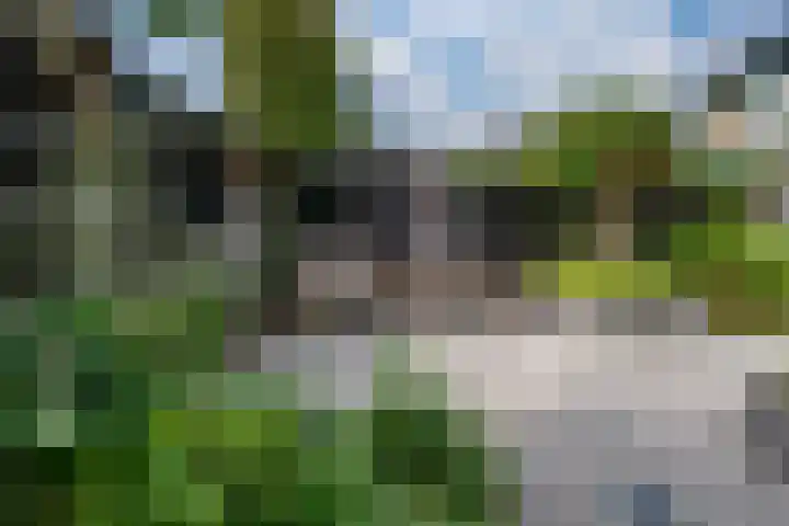 Antoniusstraat 4 Didam thumbnail 33