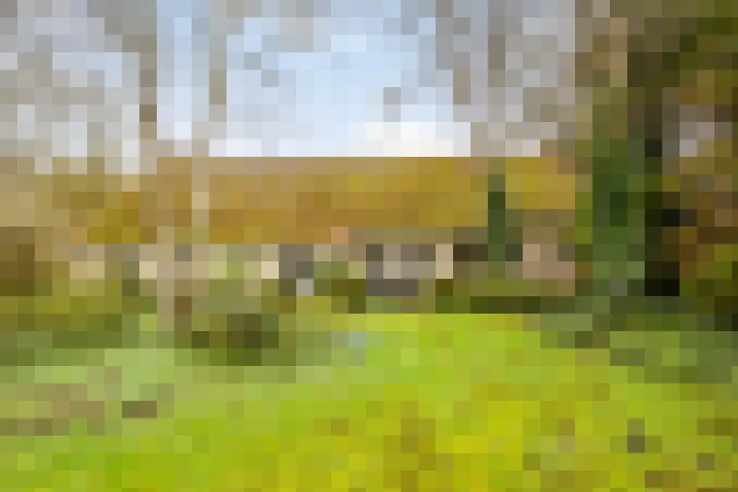 Antoniusstraat 4 Didam thumbnail 38