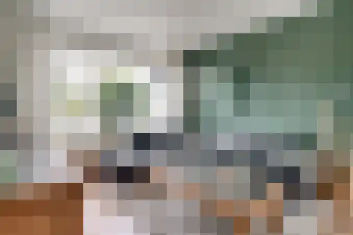 Antoniusstraat 4 Didam thumbnail 5