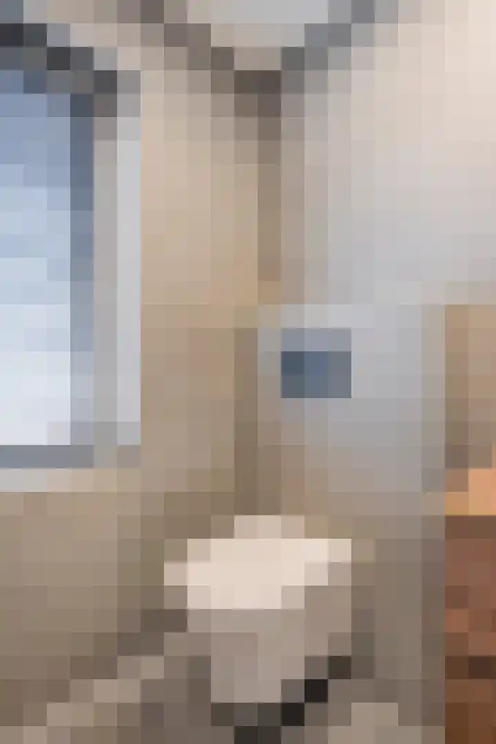 Antoniusstraat 76 Geleen thumbnail 37