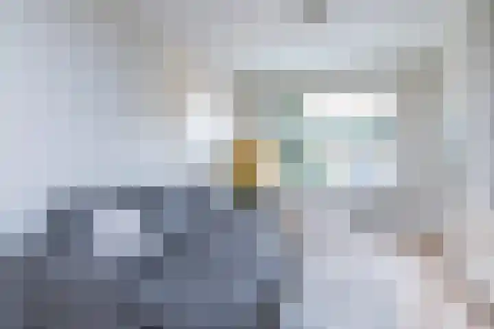 Antoniusstraat 85 Geleen thumbnail 21
