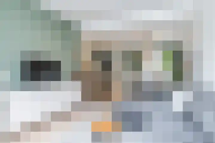 Antoniusstraat 85 Geleen thumbnail 24