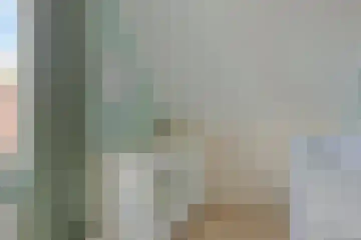 Antoniusweg 10 Esch thumbnail 22