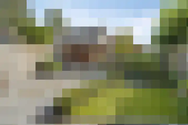 Antoniusweg 10 Esch thumbnail 26