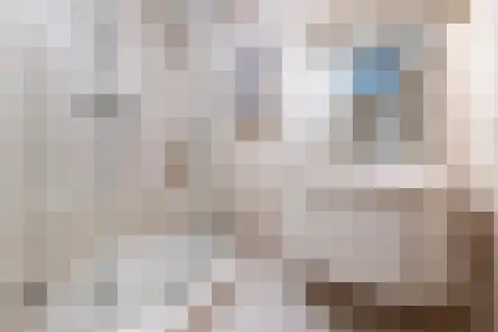 Antonlaan 310 Zeist thumbnail 15
