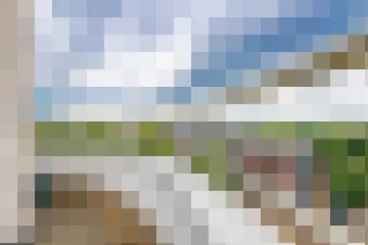 Antonlaan 310 Zeist thumbnail 17