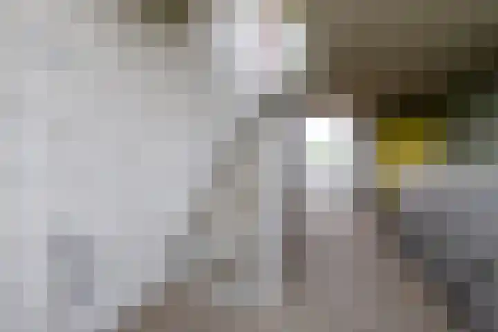 Antonlaan 310 Zeist thumbnail 21