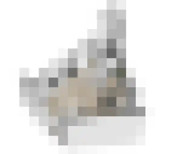 Antonlaan 596 Zeist thumbnail 9